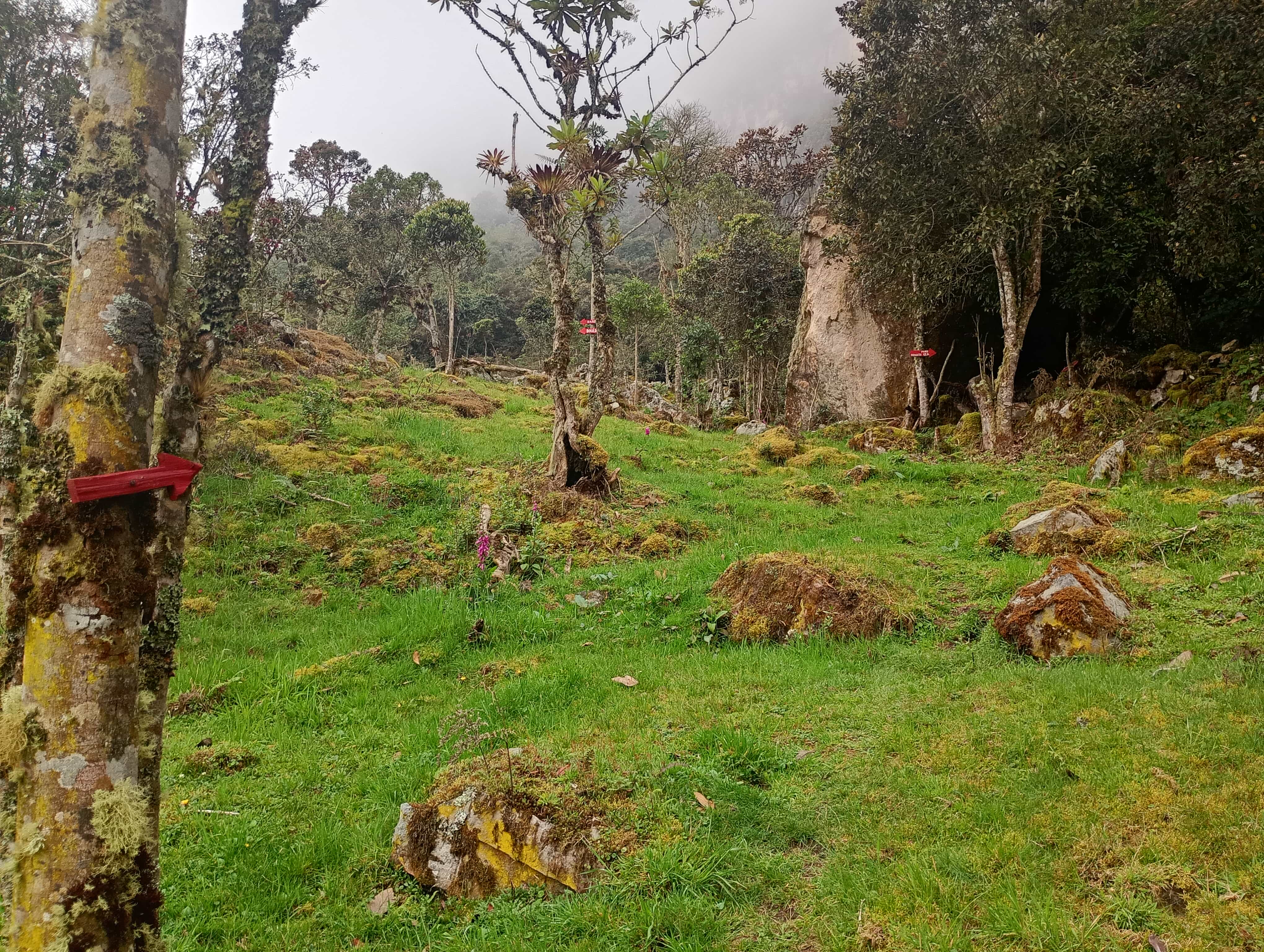 Zona de boulder