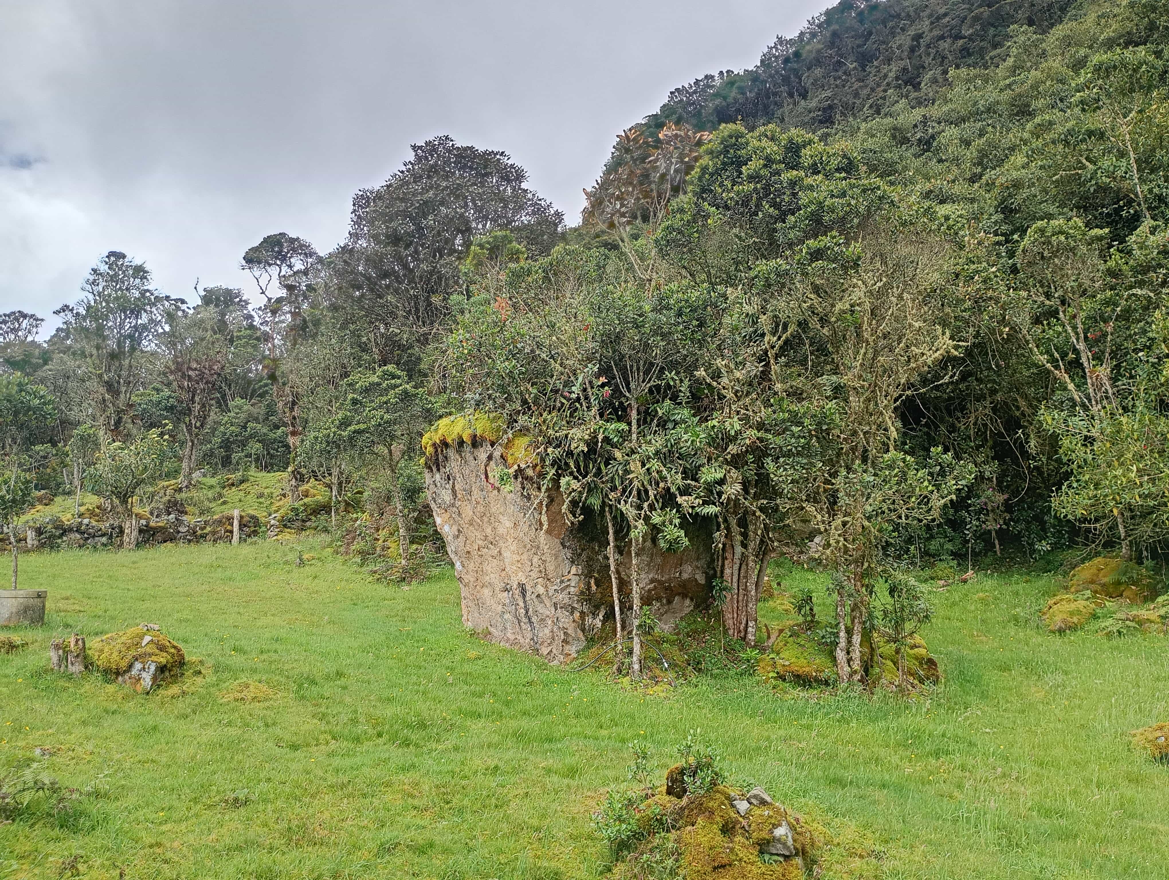 Vista de la zona de boulder