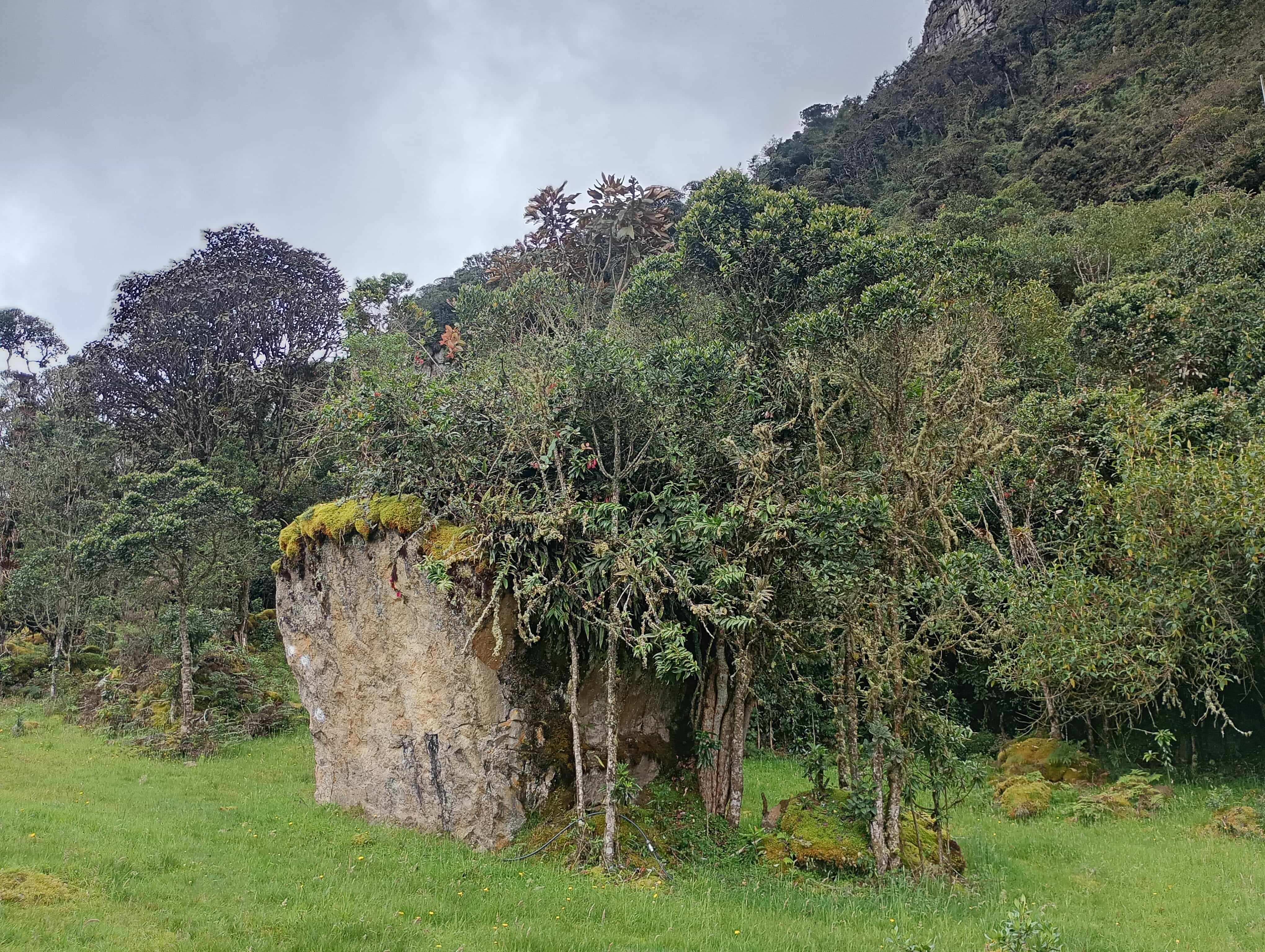 Crashpads para boulder