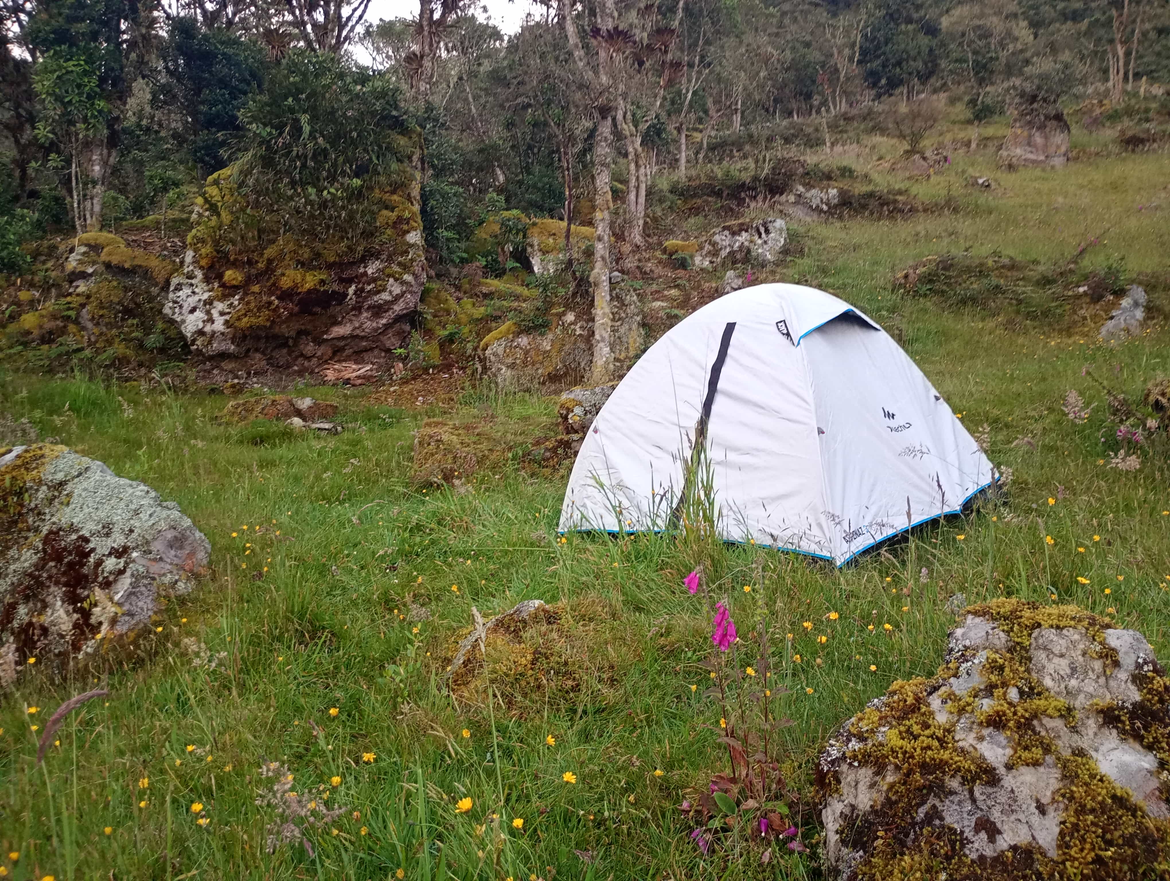 Camping con vista