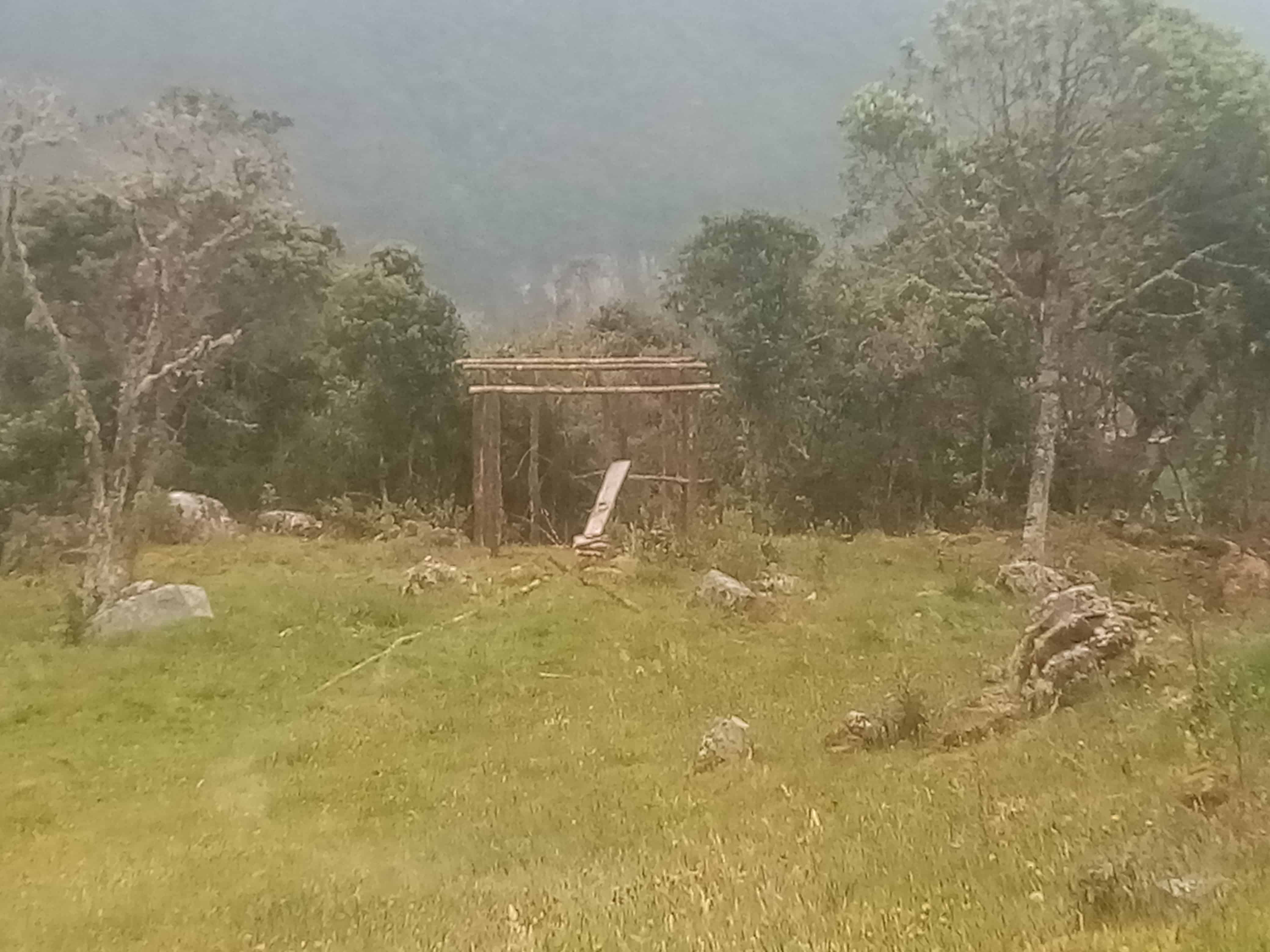 Mañana en la naturaleza