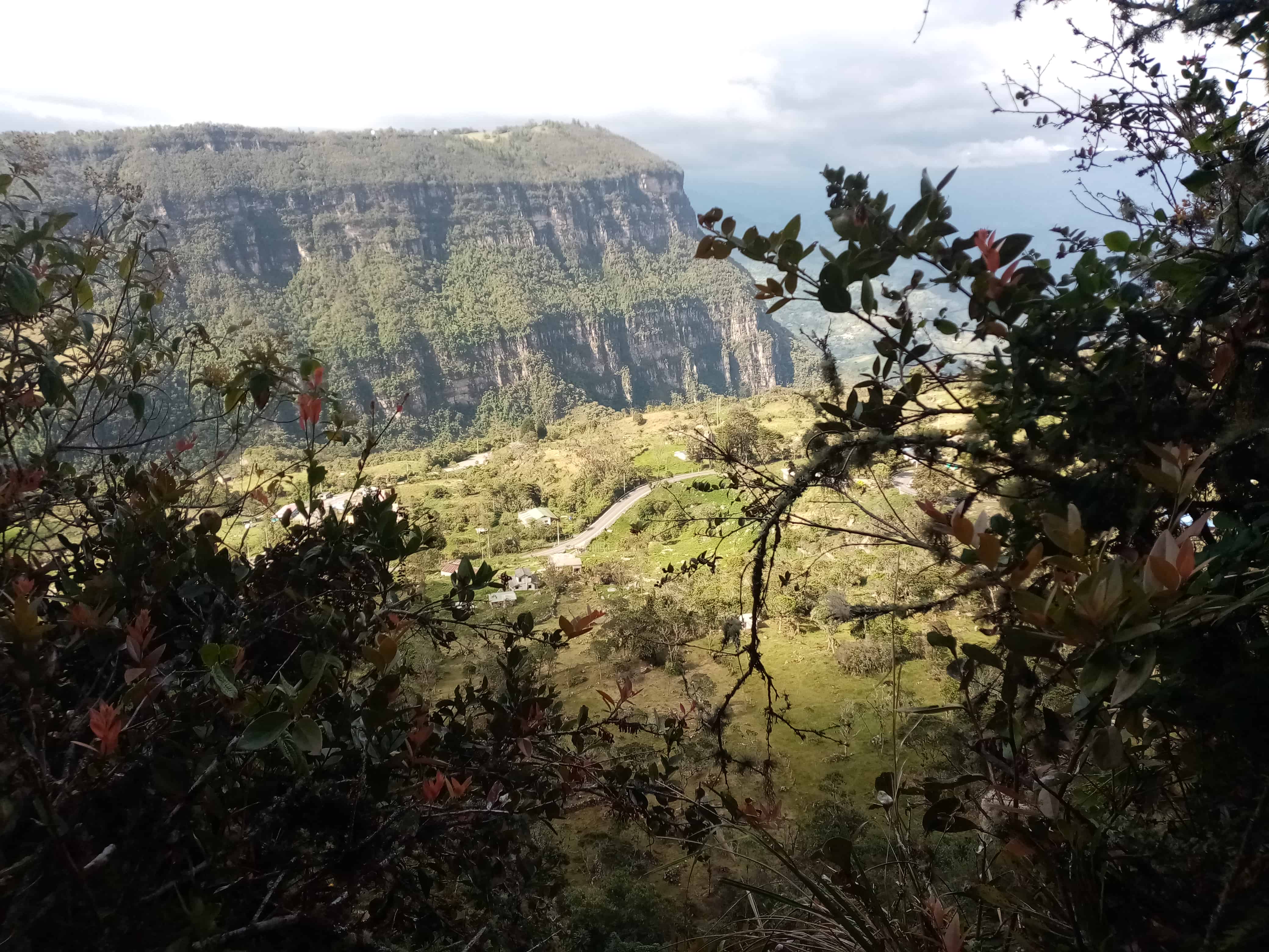 Paisaje de bosque