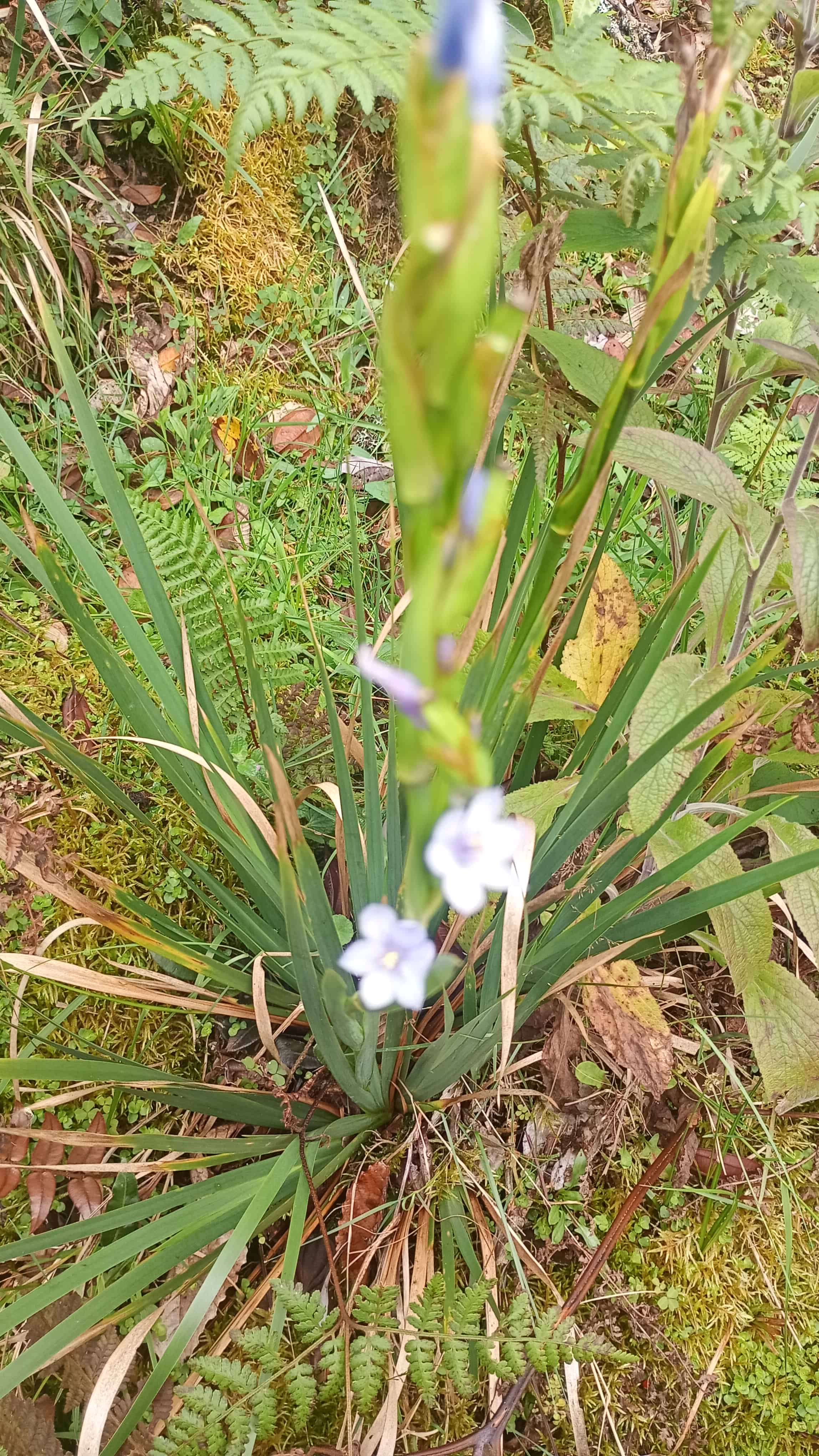 Naturaleza