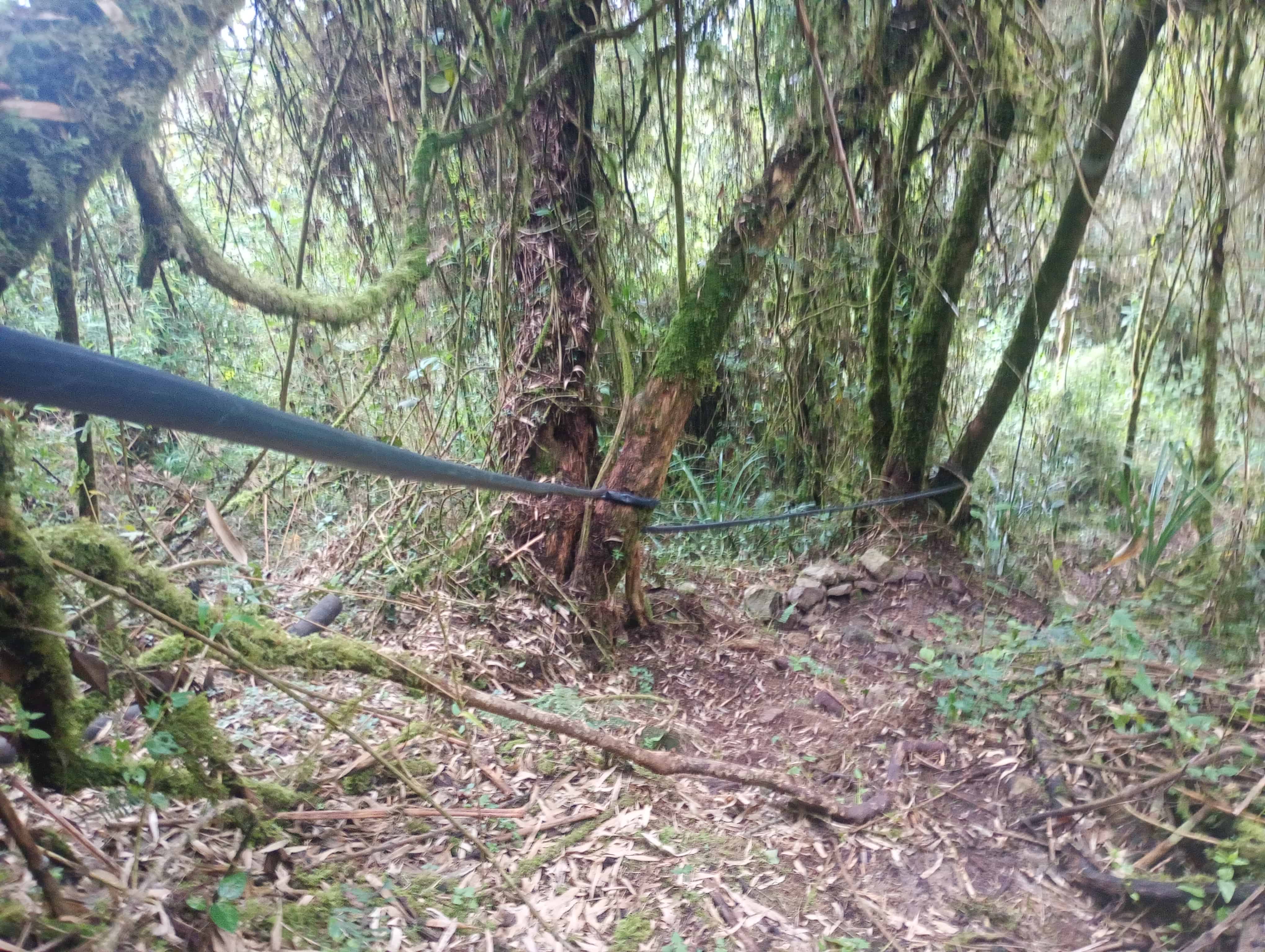 Naturaleza