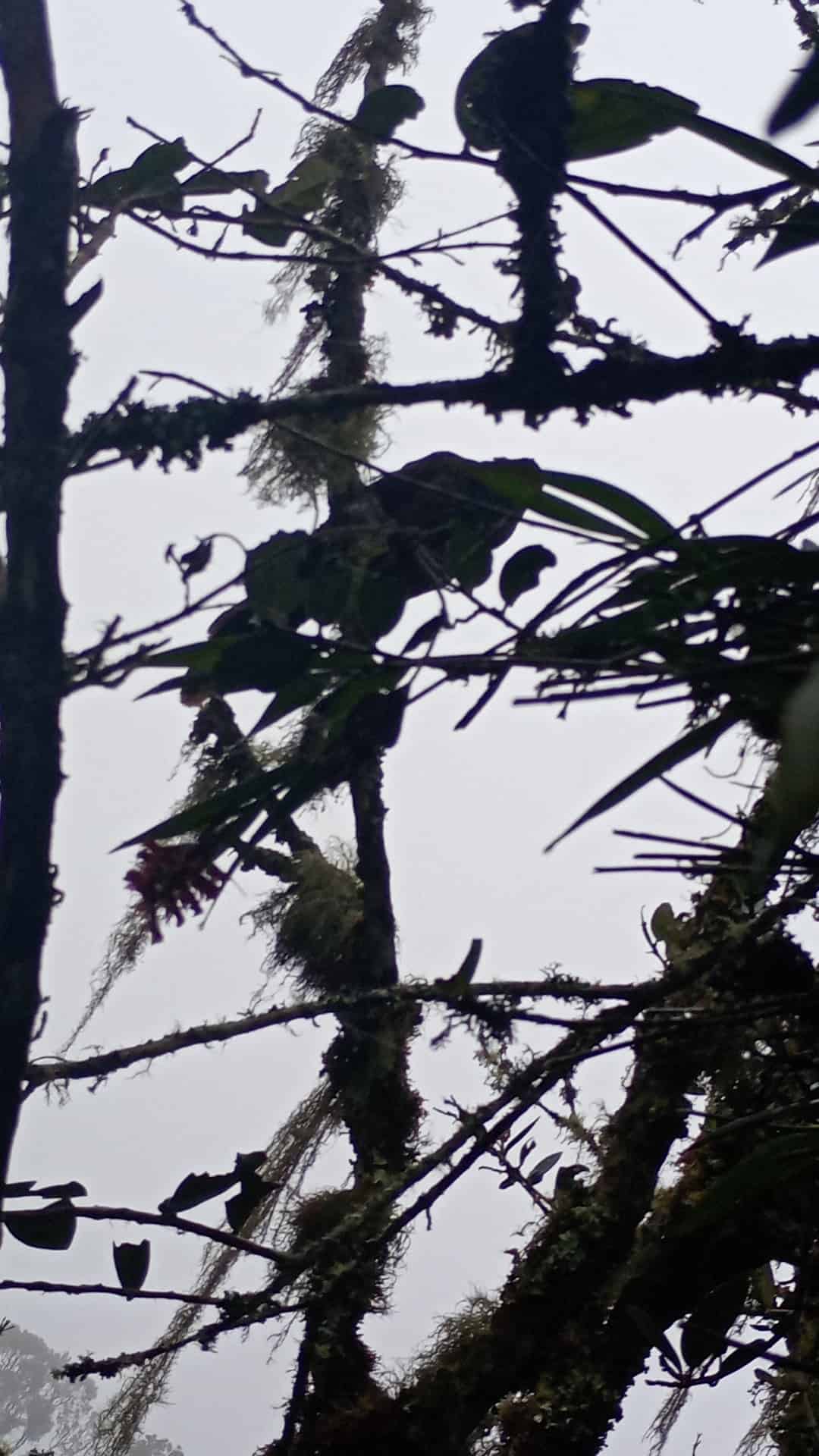 Naturaleza