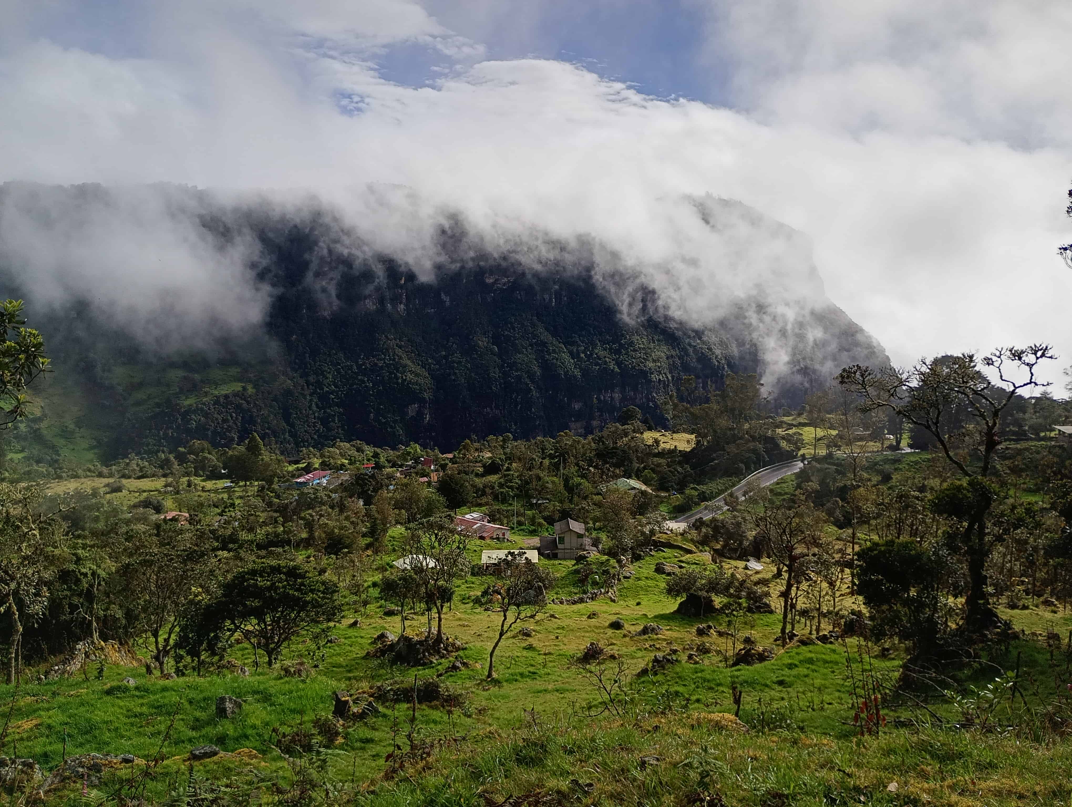 Naturaleza