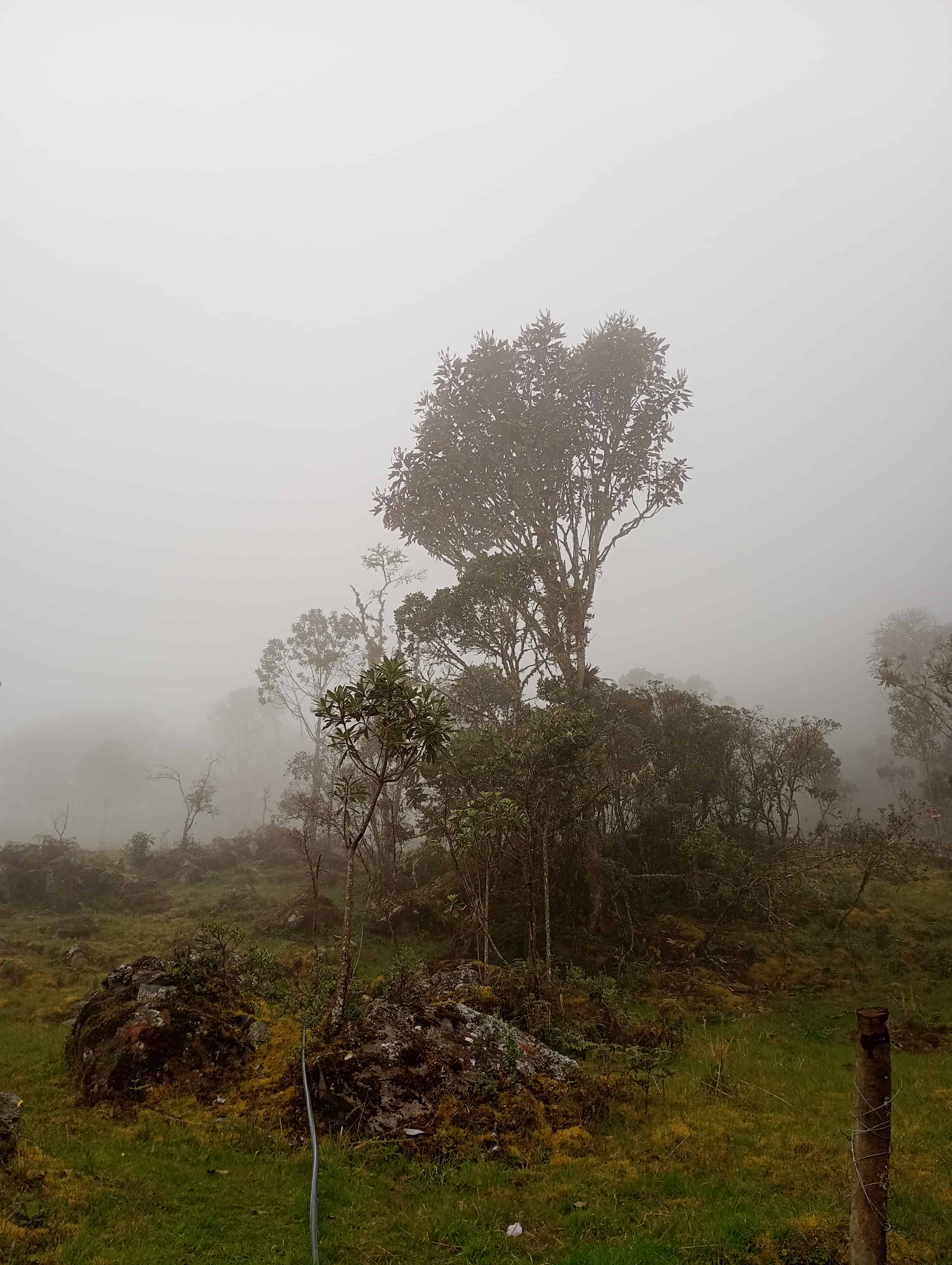Naturaleza