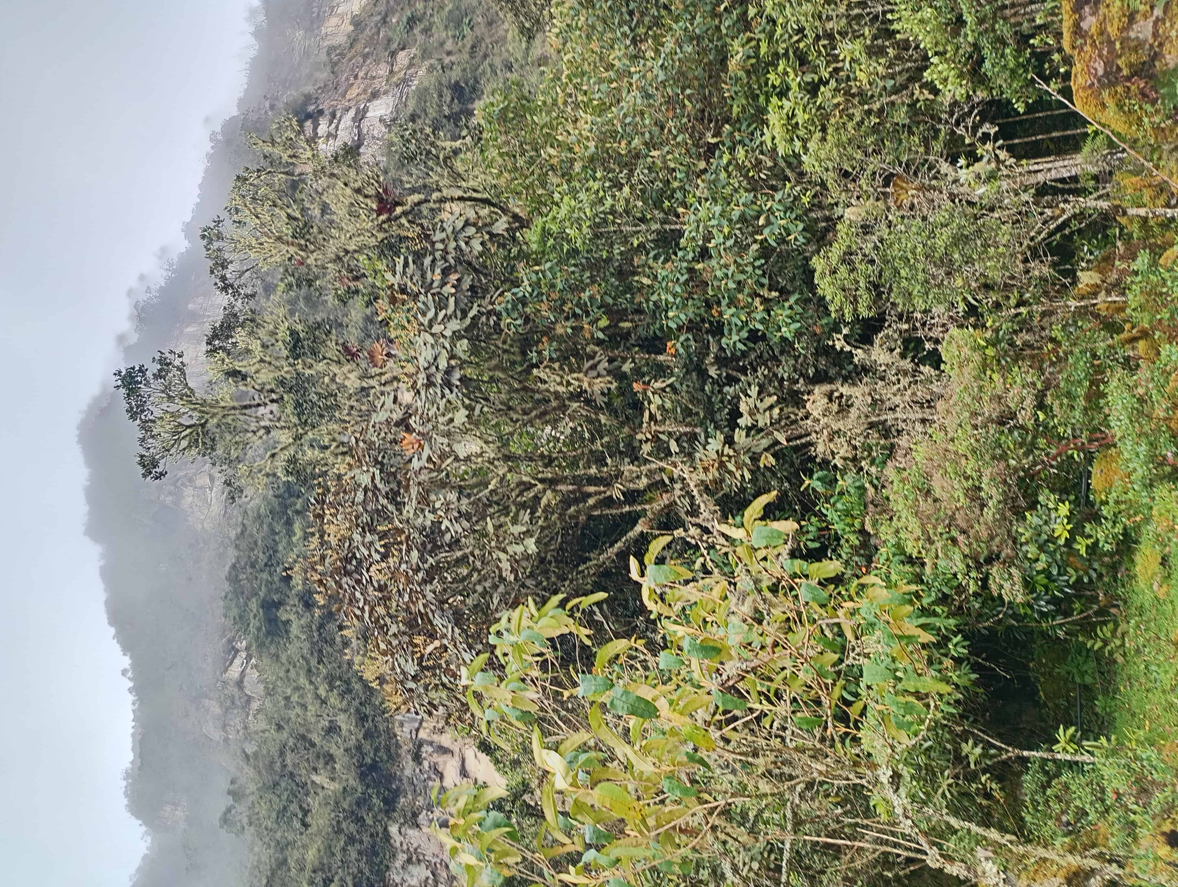 Paisaje montañoso