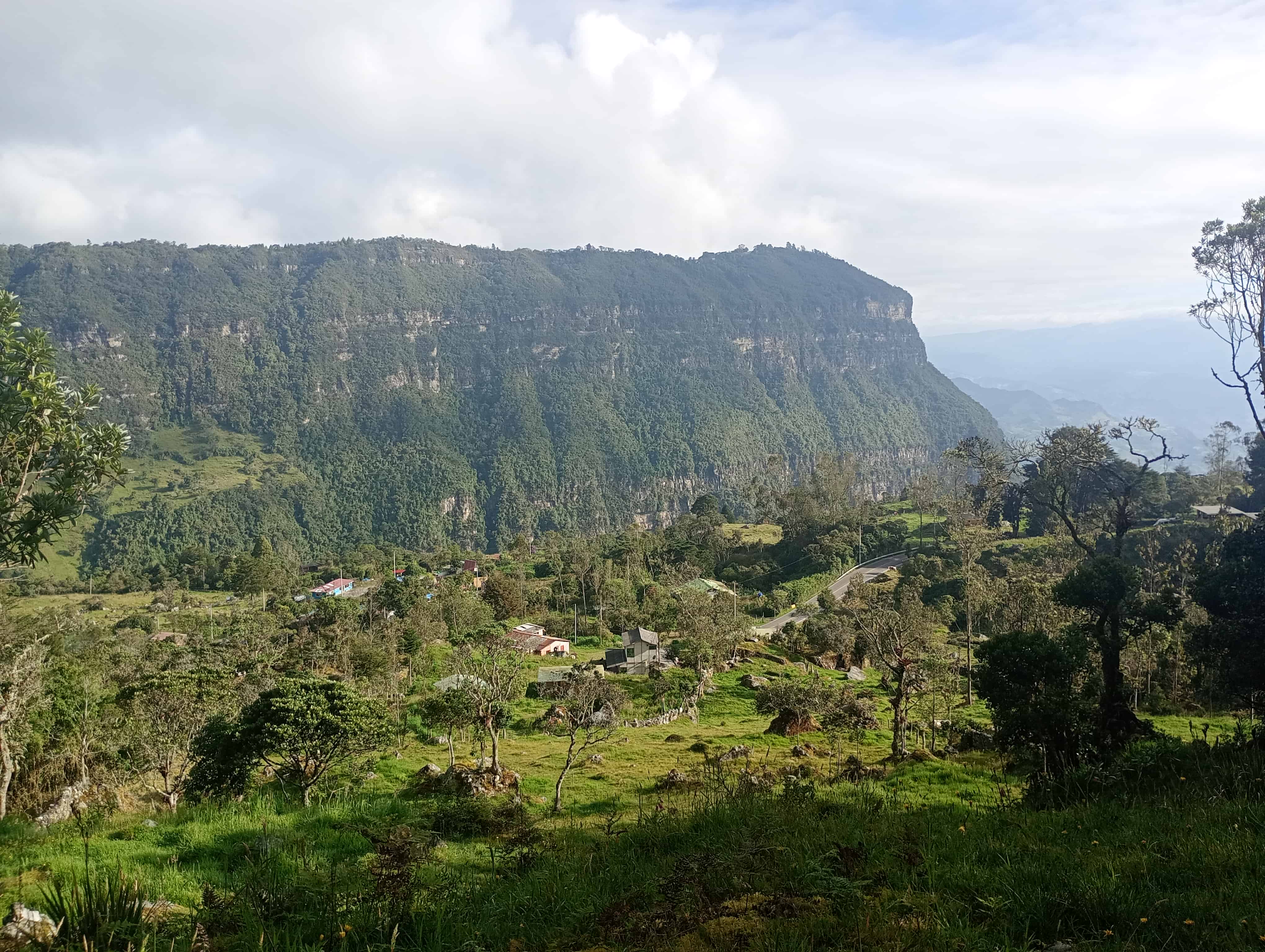 Naturaleza