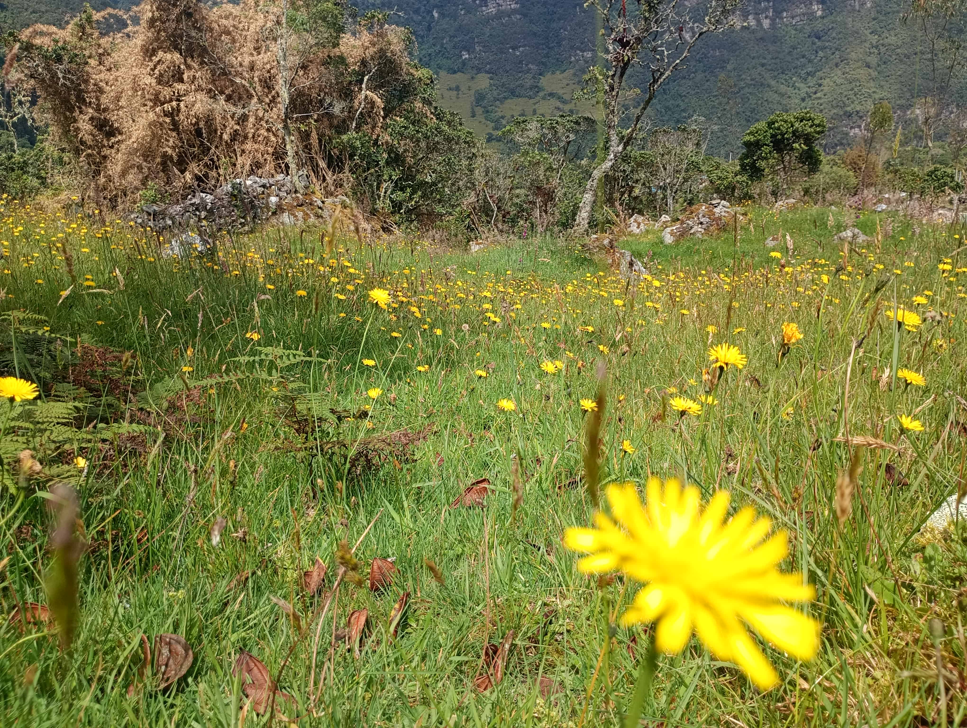 Paisaje natural