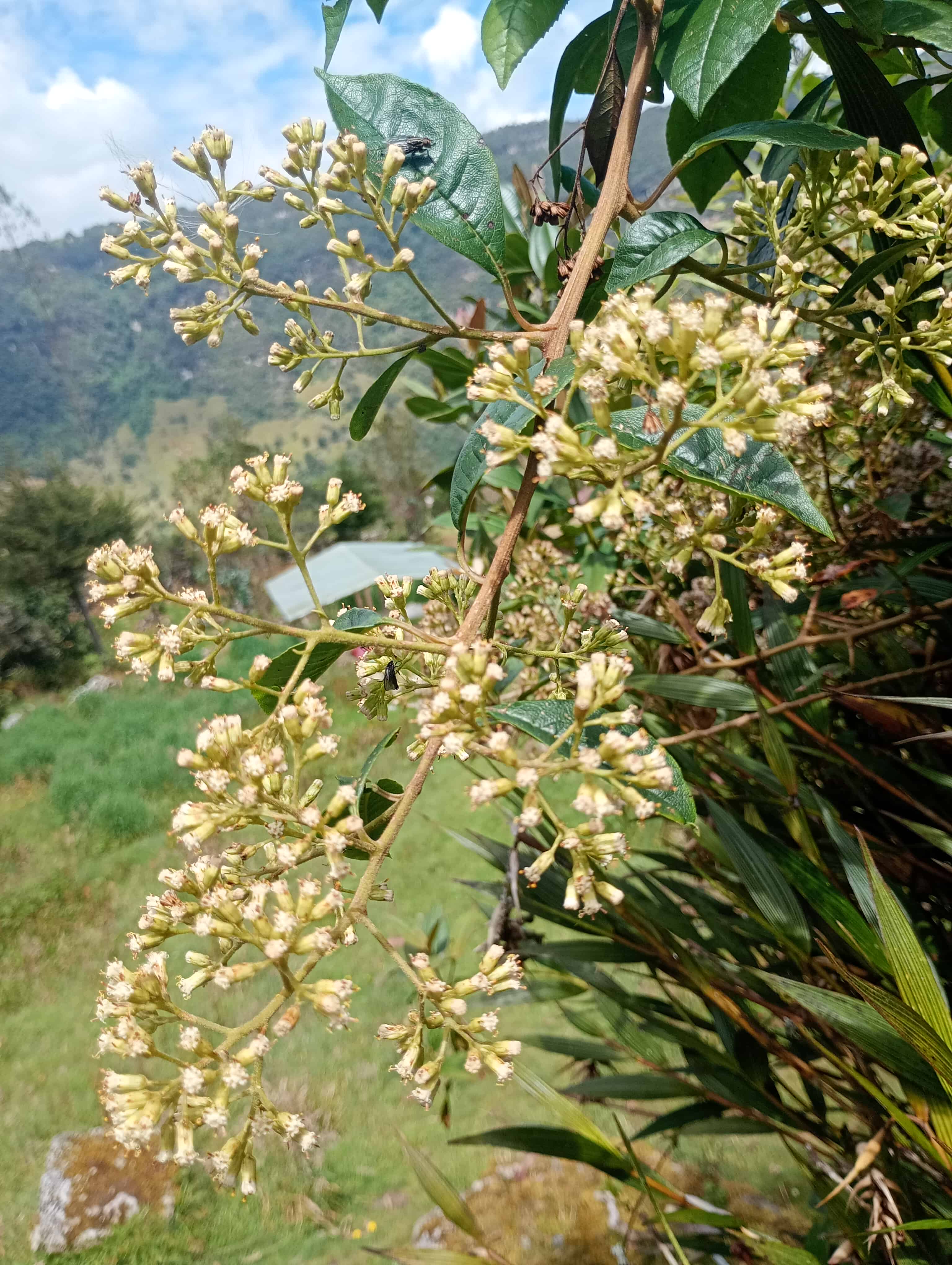 Paisaje